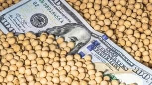 Fuertes subas de precios de soja, maíz y trigo tras el anuncio de compras de China a Estados Unidos